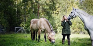 Utveckla dina säljare med hästen som redskap