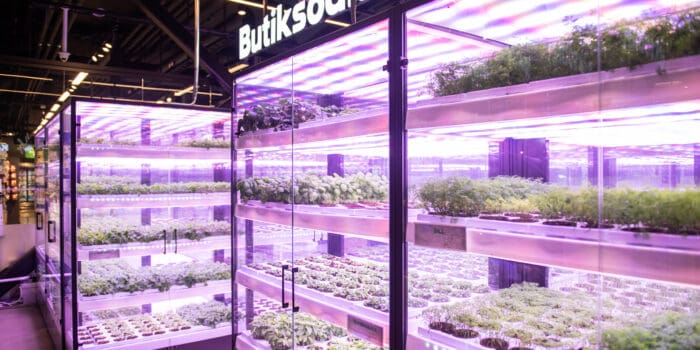 Grönska anställer Daniel Schröder som Chief Commercial Officer