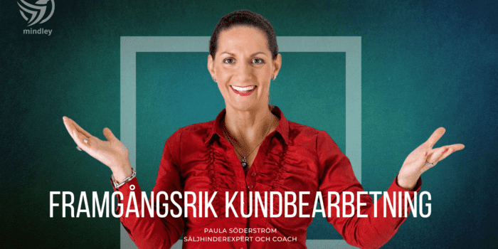 Webinar: Framgångsrik kundbearbetning
