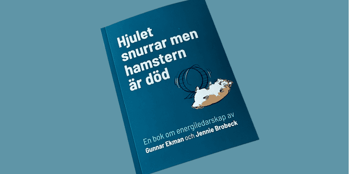 Ny bok hjälper chefer hitta energin i organisationen