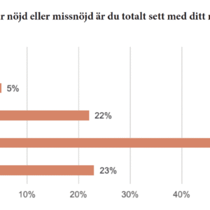 Rapport: Sveriges säljare - så nöjda är de