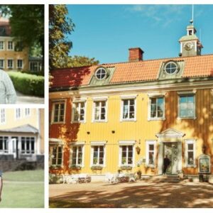 Dan Persson Knistad Herrgård: ”Steffo är mitt bollplank”